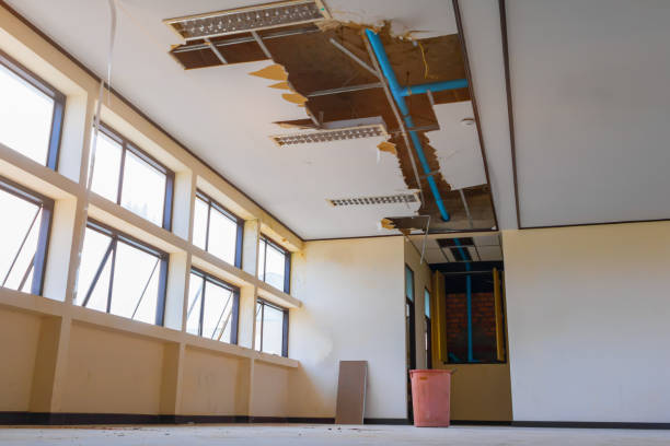 Best Residential water damage restoration  in White Hall, IL