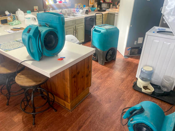 Best Water damage restoration mold remediation  in White Hall, IL