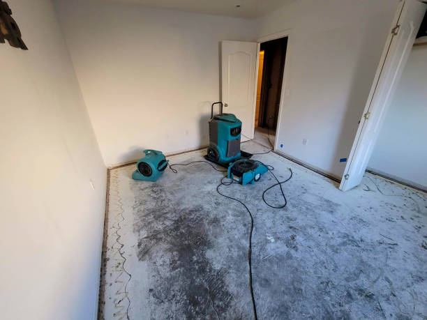 Best Water damage restoration process  in White Hall, IL