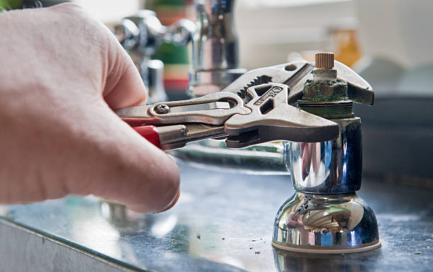 Best Carpet water damage restoration  in White Hall, IL