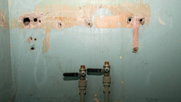 Best Flood restoration services  in White Hall, IL