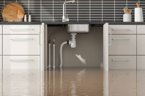  White Hall, IL Water damage restoration Pros