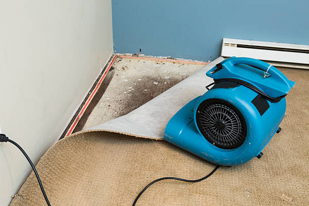 Carpet water damage restoration in White Hall, IL